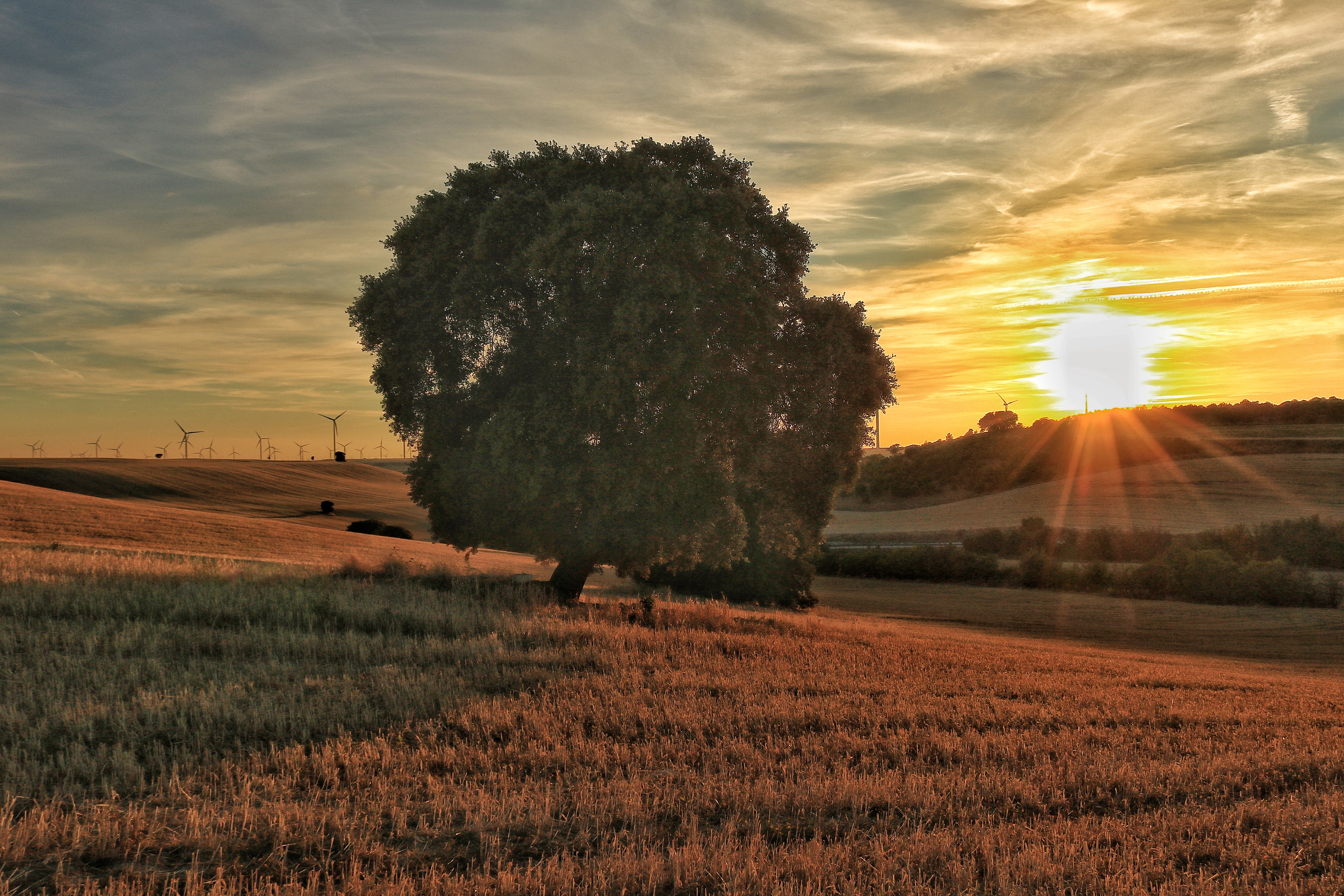 Agricultura naturaleza tranquilidad y tecnología